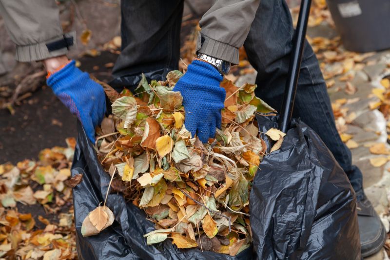 Leaves in Collection Bins
