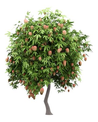 Improve The look of Your Tree